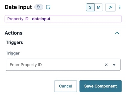 A static image displaying the Date Input's Actions settings.