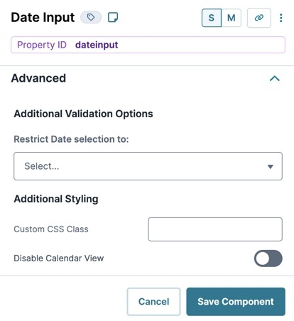 A static image displaying the Input component's Advanced settings.
