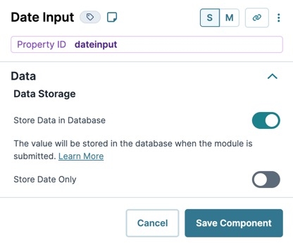A static image displaying the Date Input's Data settings.