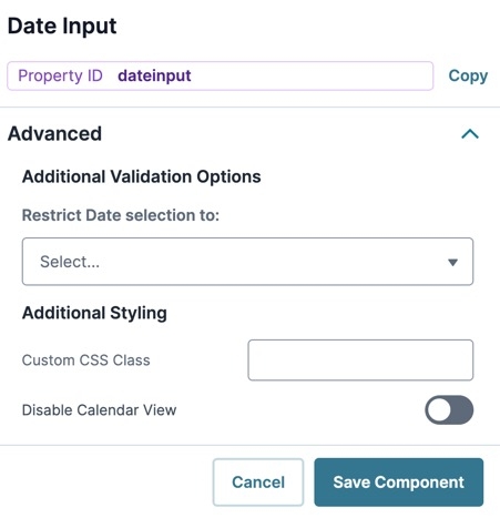 A static image displaying the Input component's Advanced settings.