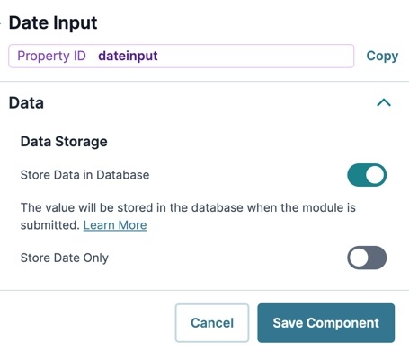 A static image displaying the Date Input's Data settings.