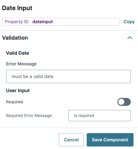 A static image displaying the Date Input's Validation settings.