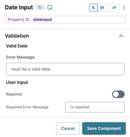 A static image displaying the Date Input's Validation settings.