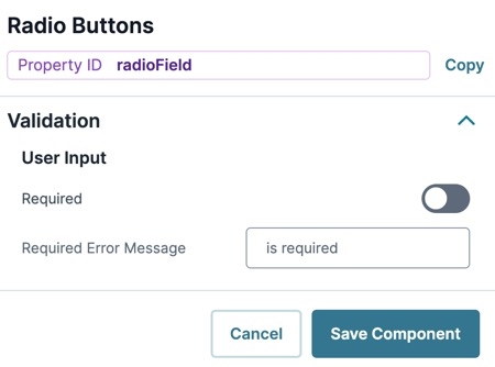 A static image displaying the Radio Button's Validation settings.