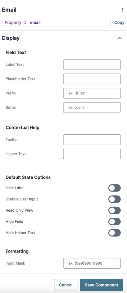 A static image displaying the UDesigner Email component's Display settings.