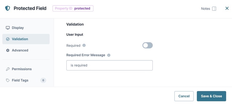 A static image dispaying the Protected Field component's Validation settings.