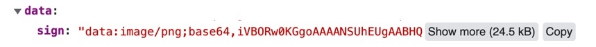 A static image displaying the Developer console. The Angular Command displays the Submission Contol, the Signature component's data is displayed.