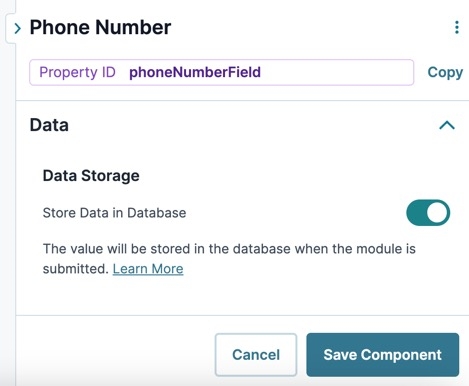A static image displaying the Phone Number's Data settings.
