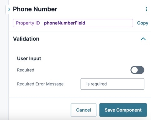 A static image displaying the Phone Number's Validation settings.
