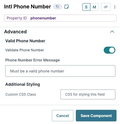 A static image displaying the Intl Phone Number component's Advanced settings.