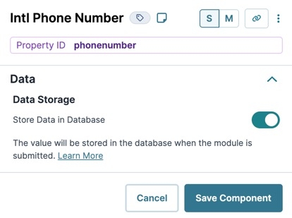 A static image displaying the Intl Phone Number component's Data settings.
