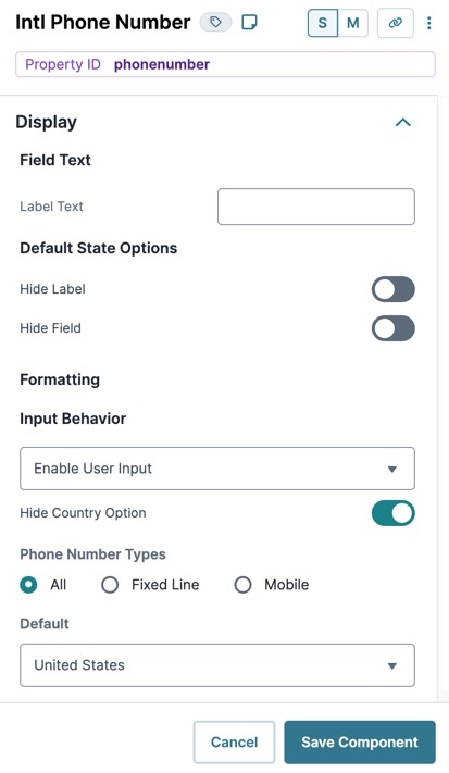 A static image displaying the Intl Phone Number component's Display settings.