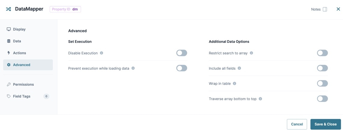 A static image displaying the Data Mapper's Advanced settings.