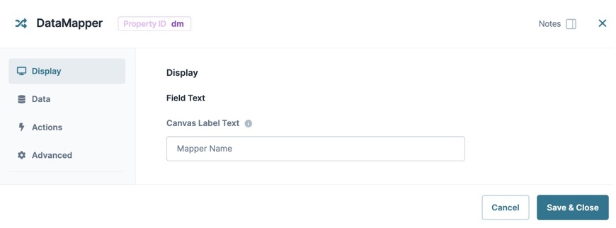 A static image displaying the DataMapper component's Display settings.