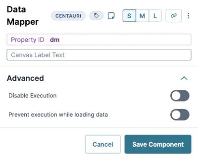A static image displaying the Data Mapper's Advanced settings.