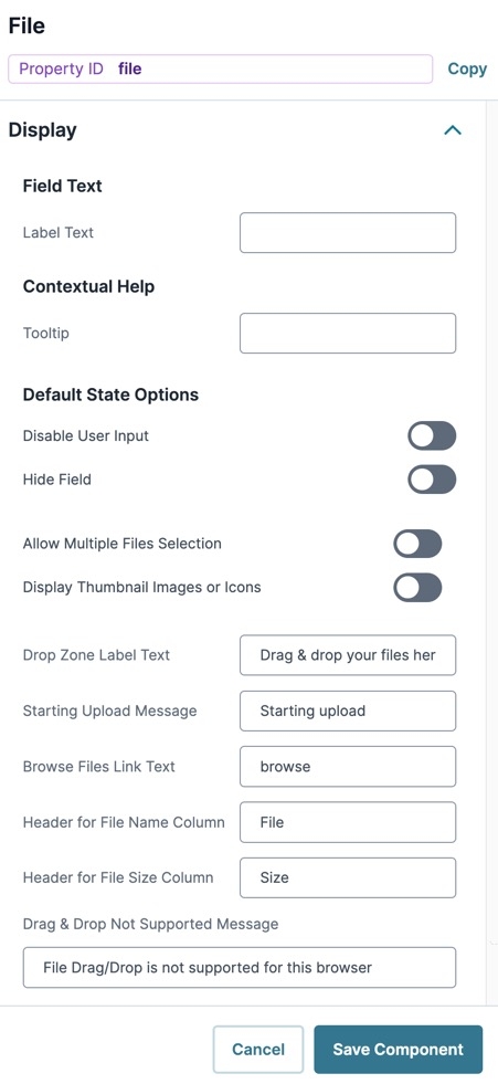 A static image displaying the File component's Display settings.