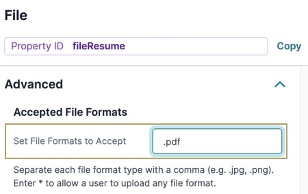 A static image displaying file component's advanced settings. The Set File Formats to Accept field is set to .pdf