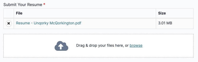 A static image of the File component in Express View. A PDF has been uploaded and displays its filename in a table.