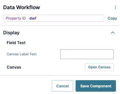 A static image displaying the Data Workflow component's Display settings.