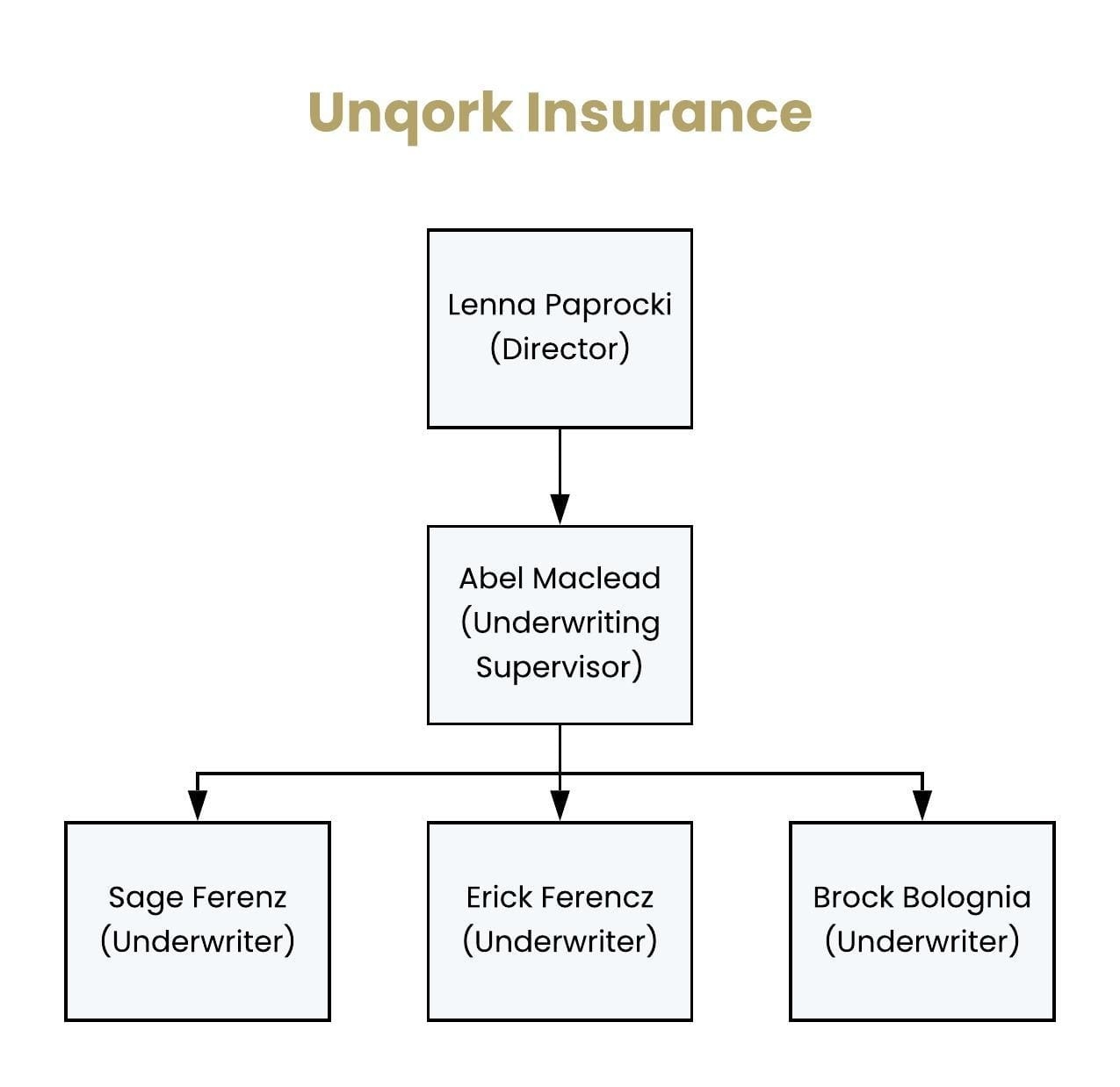 A static image displaying the hierarchy for Unqork insurance. 
