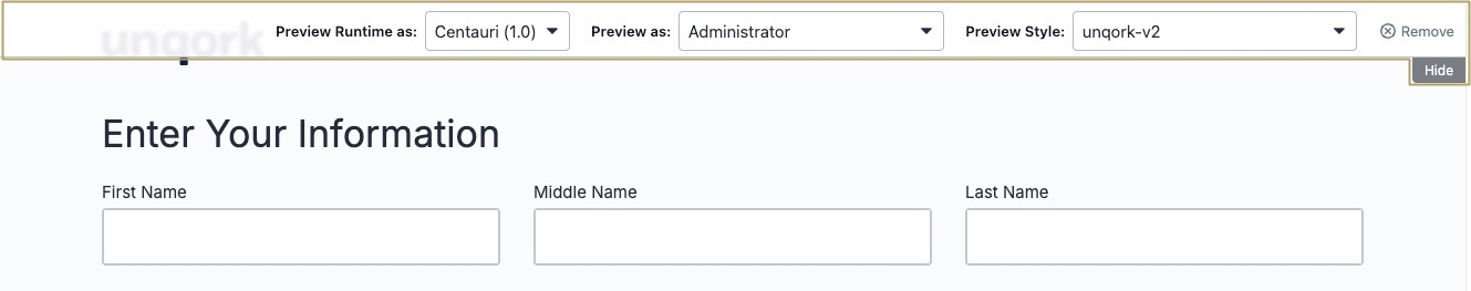 A static image displaying the Preview bar in Express View.
