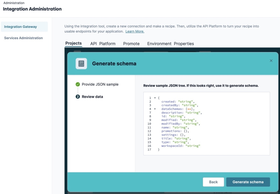 A static image displaying the Generate Schema modal's Review data tab.