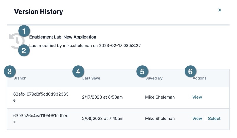 A static image displaying the UDLC VCS tool's Version History window.