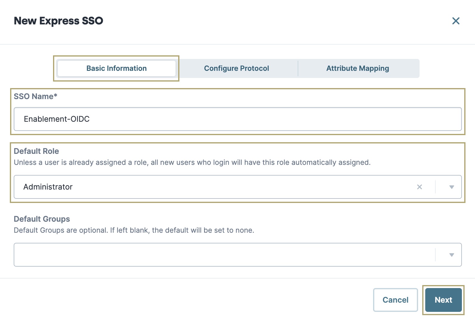 A static image displaying the Basic Information configuration for Express SSO.