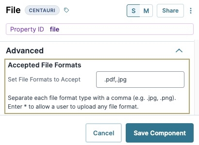 A static image displaying the File component's Accepted File Formats setting.